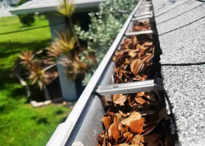 Gutter Cleaning Pflugerville, Tx home page