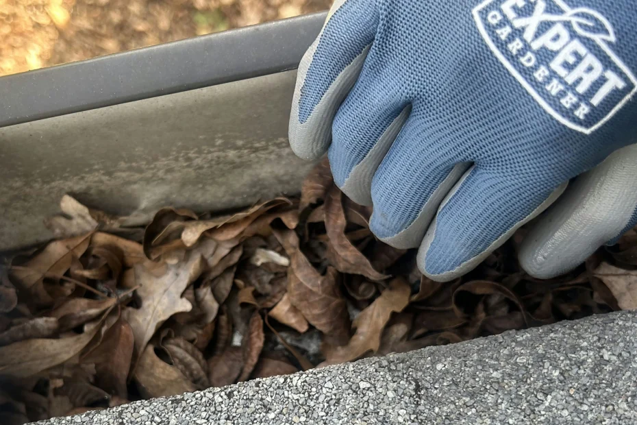 Pflugerville Gutter Cleaning