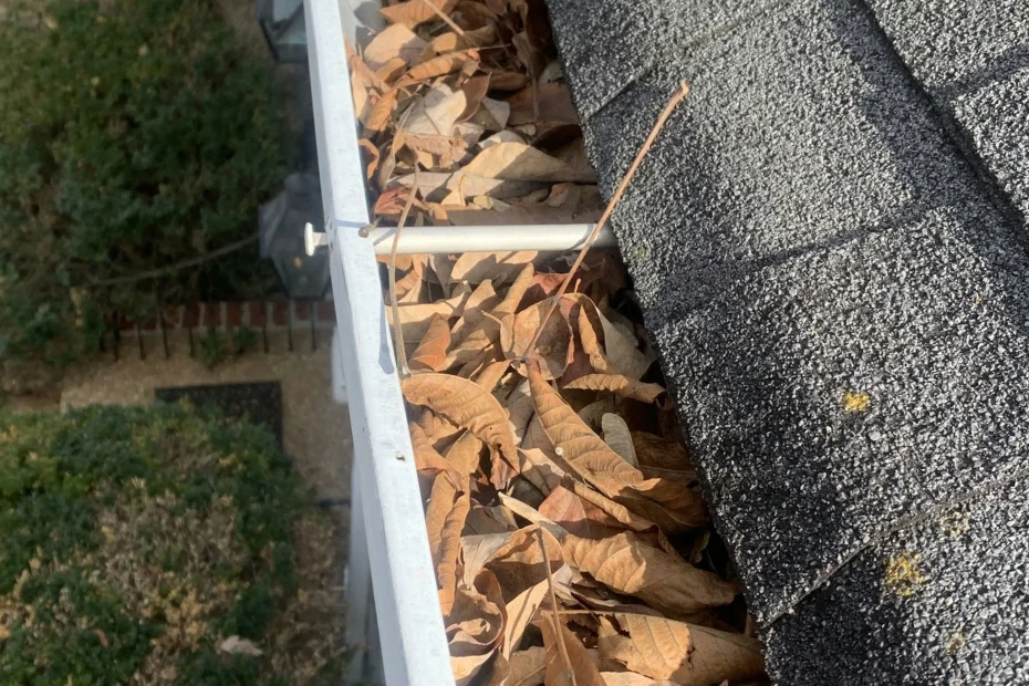 Pflugerville Gutter Cleaning
