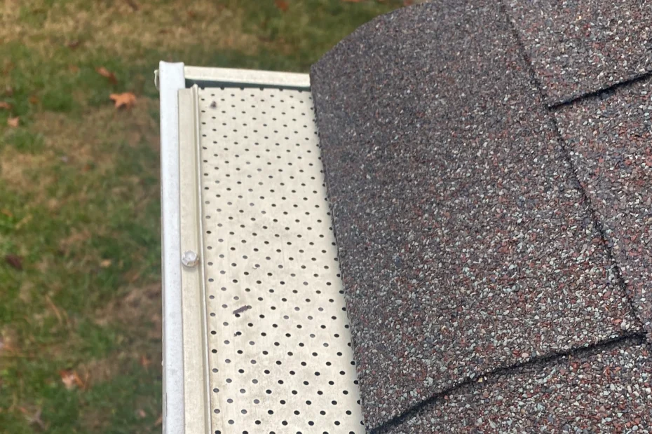 Pflugerville Gutter Cleaning